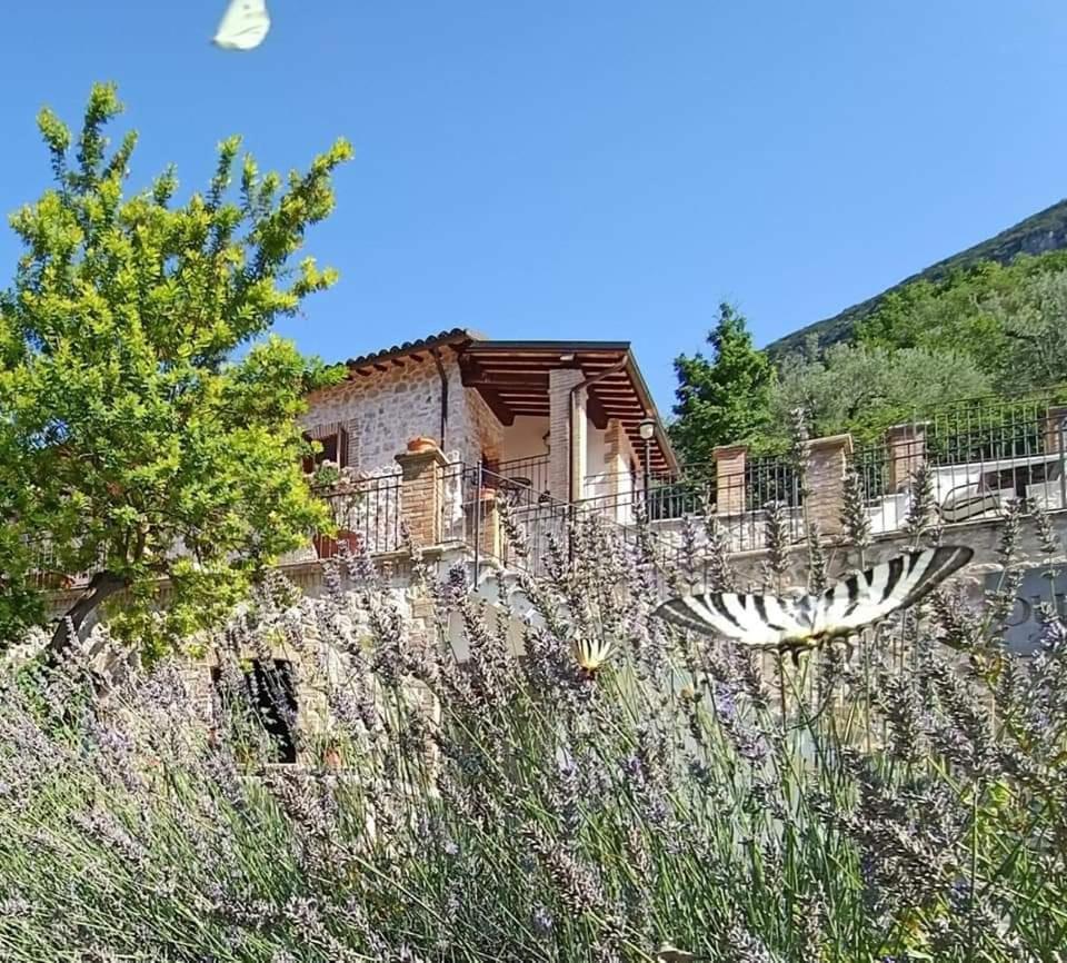 Pucci Country House Ferentillo Dış mekan fotoğraf